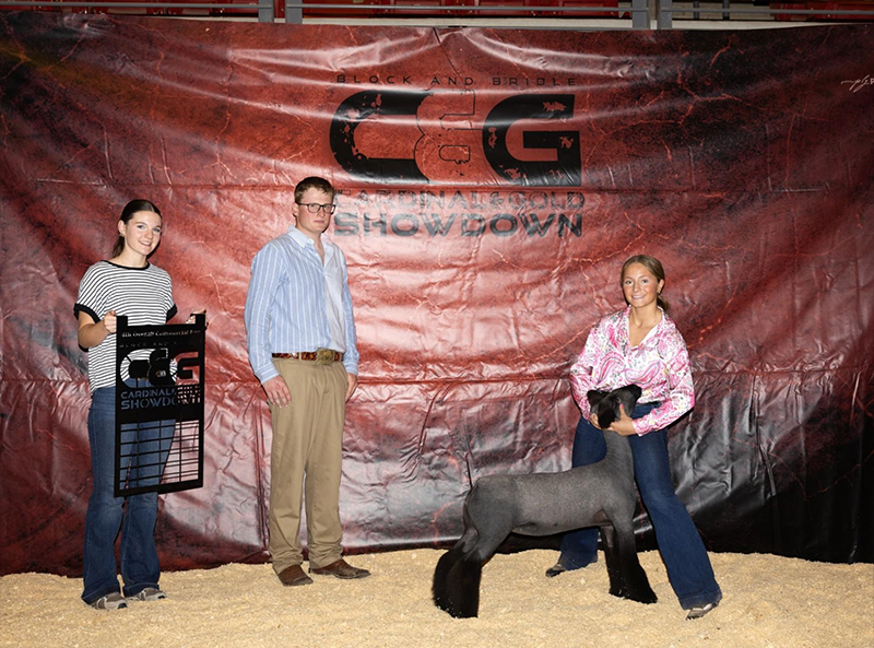 4th Overall Ewe, Show 1, Champion Natural Colored – Cardinal & Gold Shown (IA)