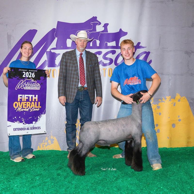 5th Overall Market Lamb Minnesota Youth Livestock Expo