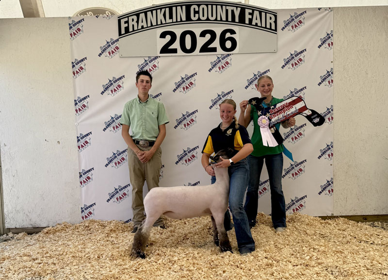 Reserve Grand Champion Market Lamb – Franklin County Fair
