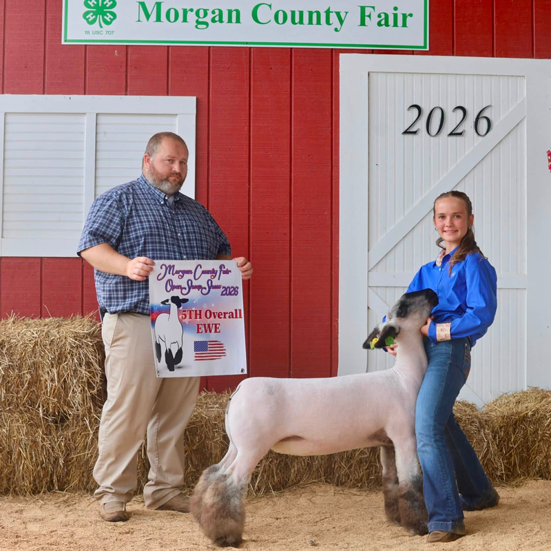 5th Overall Market Lamb Minnesota Youth Livestock Expo