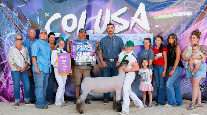 Reserve Grand Champion Market Lamb – Colusa County Fair