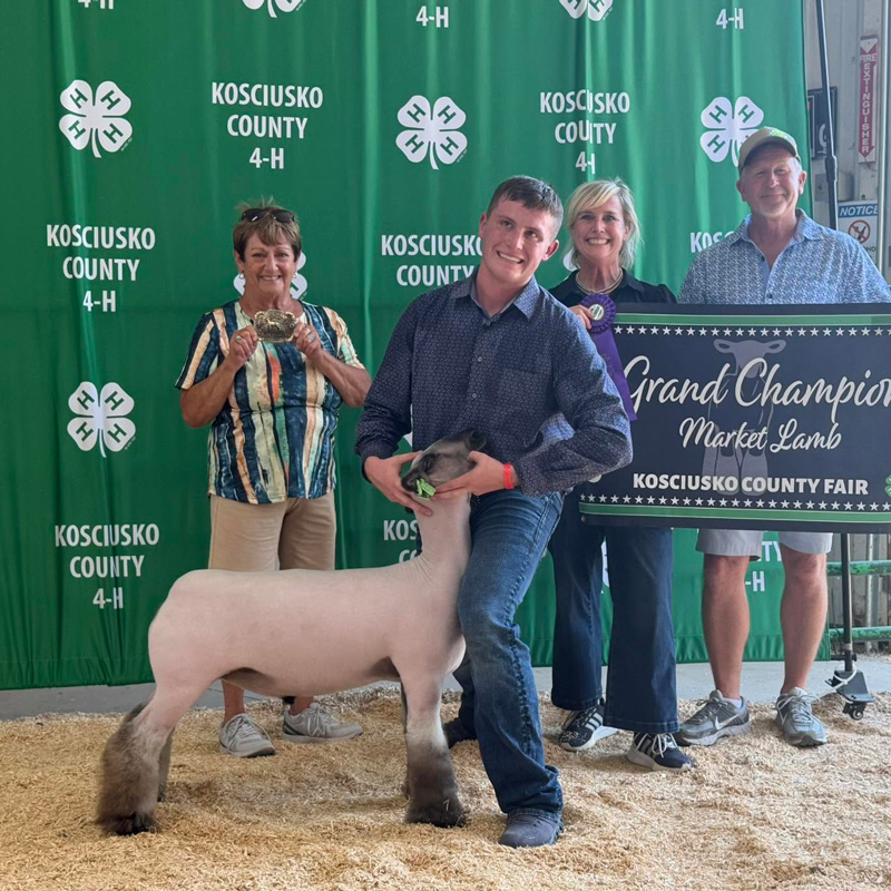 Grand Champion Breeding Ewe Calhoun County Expo