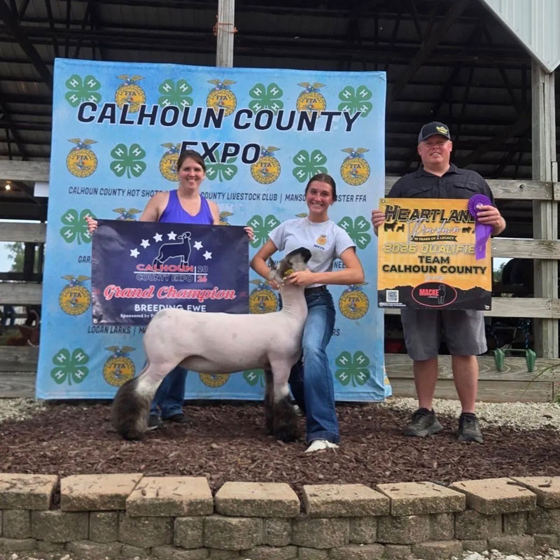 Grand Champion Breeding Ewe Calhoun County Expo
