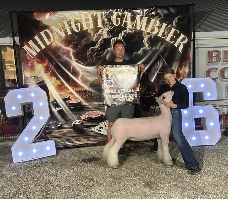 4th Overall Breeding Ewe, Champion WBI – Midnight Gambler