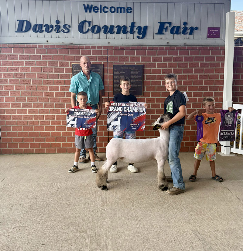 Grand Champion Market Lamb – Davis County Fair