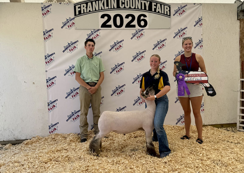 Grand Champion Market Lamb – Franklin County Fair