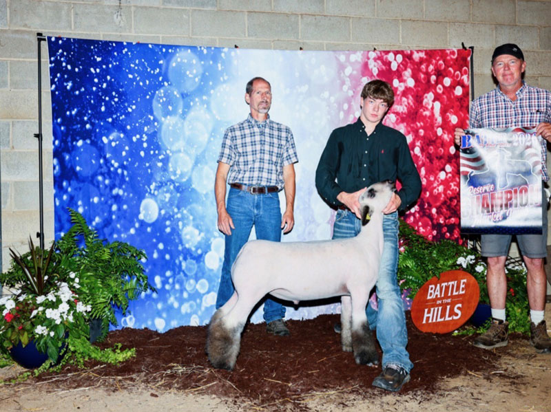Reserve Champion Market Lamb – Battle in the Hills