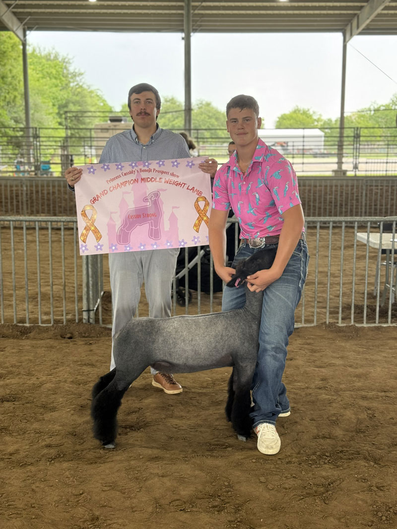 Champion Middle Weight – Princess Cassidy’s Benefit Prospect Show