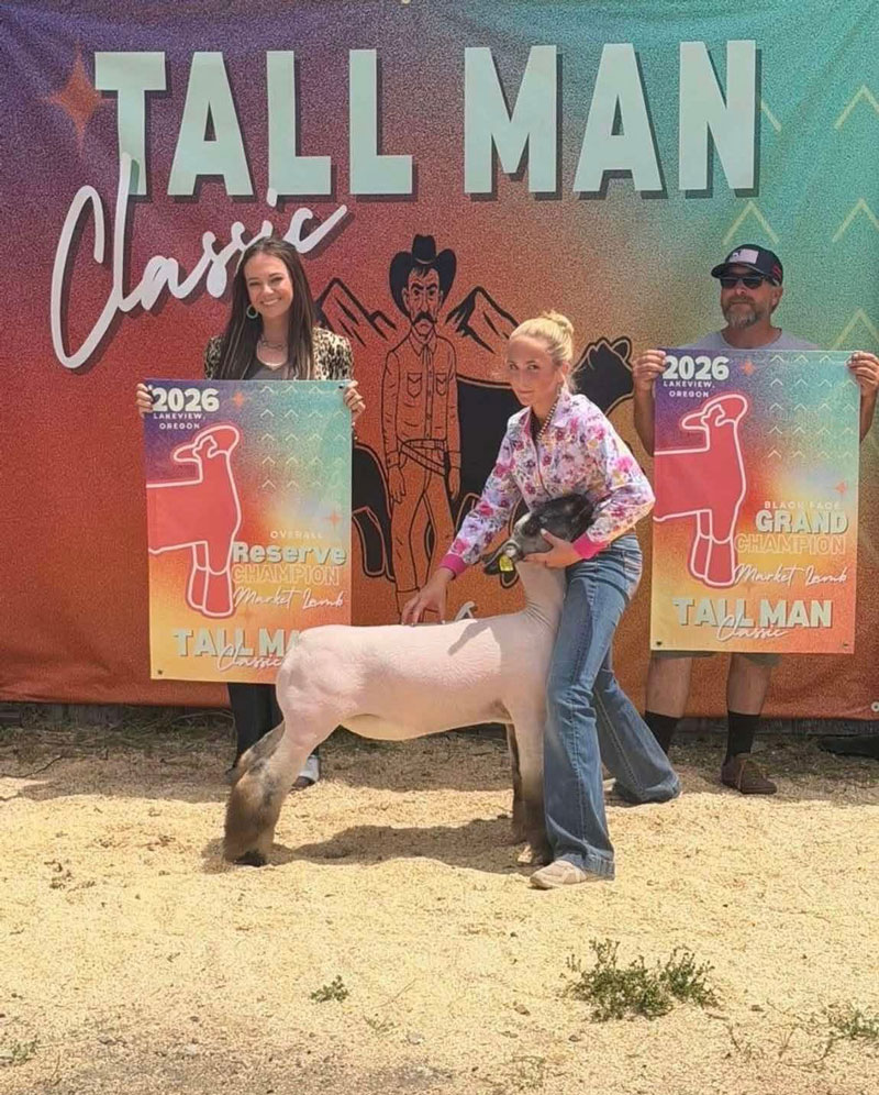 Reserve Grand Market Lamb – Tall Man Classic