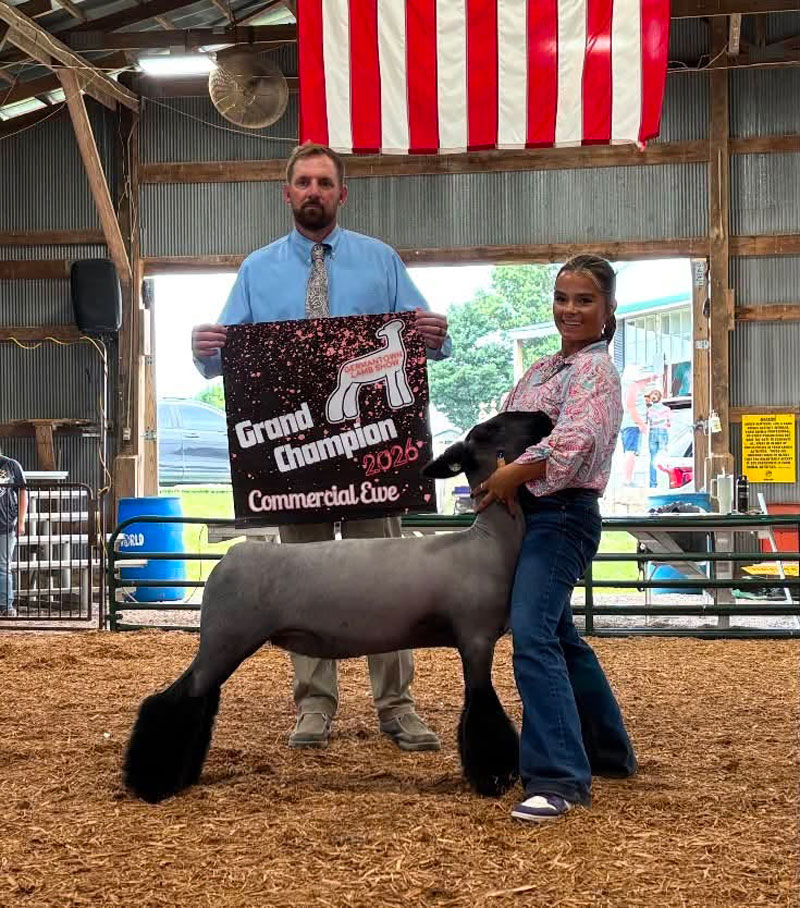 Grand Champion Commercial Ewe – KDA Germantown District Lamb Show