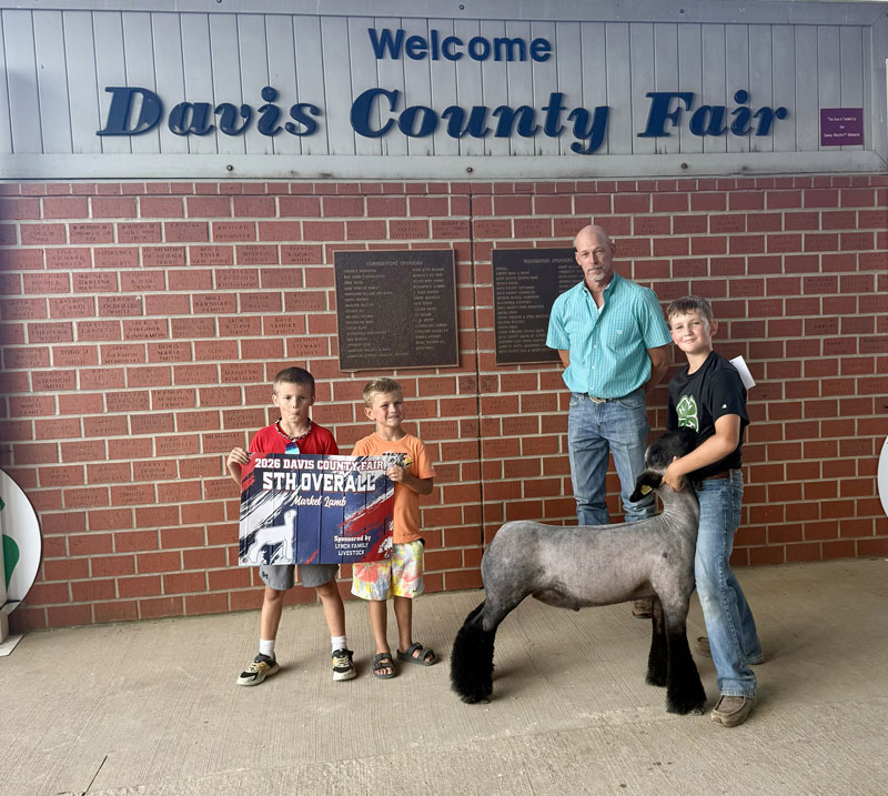 5th Overall Market Lamb – Davis County Fair