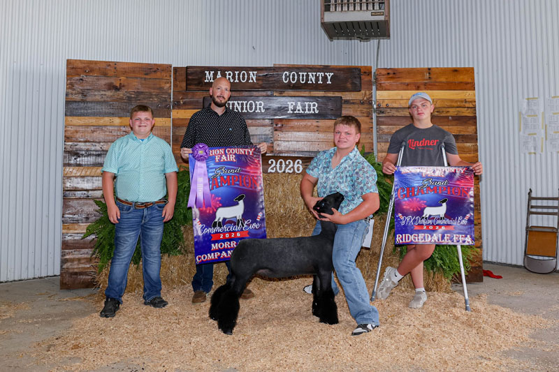 Grand Champion Commercial Ewe – Marion County Open & Jr Shows