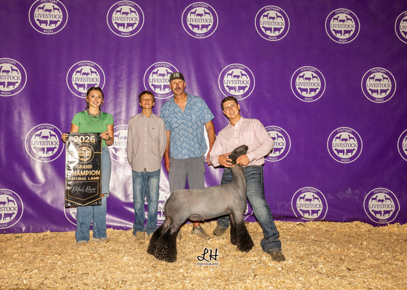 Champion Natural Colored Market Lamb – Michigan Livestock Expo