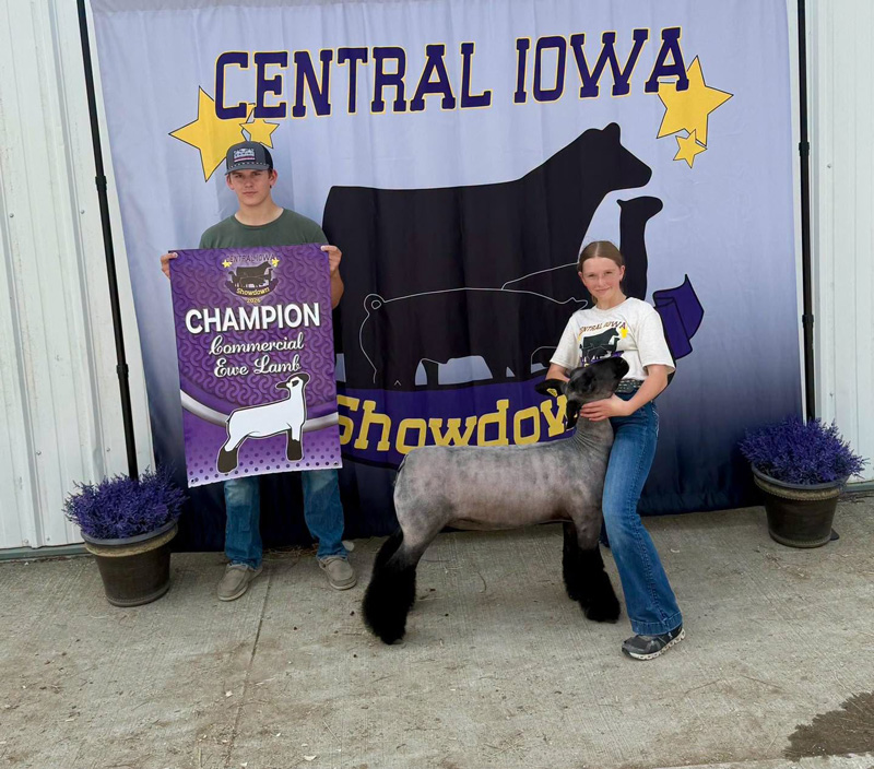 Grand Champion Ewe – Central Iowa Showdown