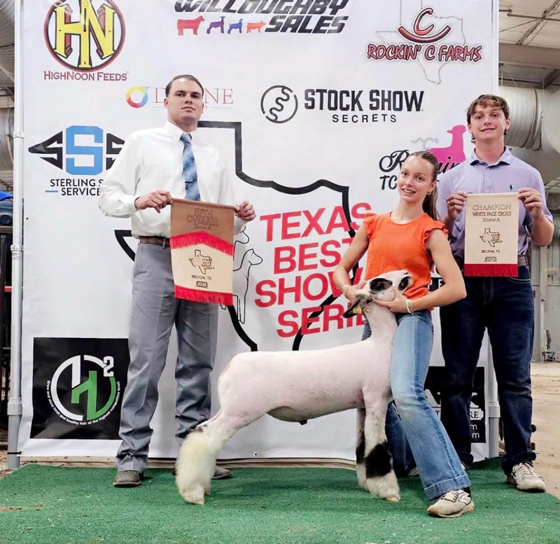 5th Overall Market Lamb, Champion WFX – Texas Best Show Series