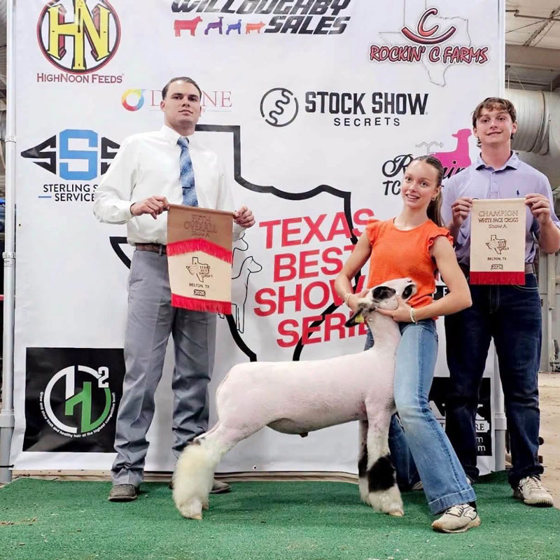 Fourth Overall Market Lamb Show B Fifth Overall Market Lamb Show A Champion WFX Market Lamb Show A&B PNW Livestock Expo (OR)