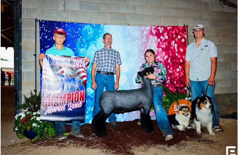 Grand Champion Market Lamb – Battle in the Hills