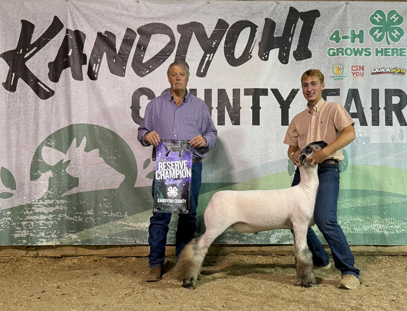 Reserve Champion Market Lamb Kandiyohi County Fair Reserve Champion Market Lamb Kandiyohi County Fair