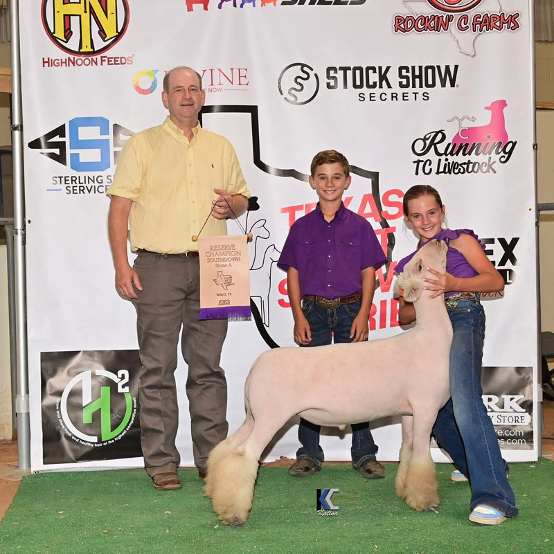 Reserve Champion Southdown – Texas Best Show Series – Show A
