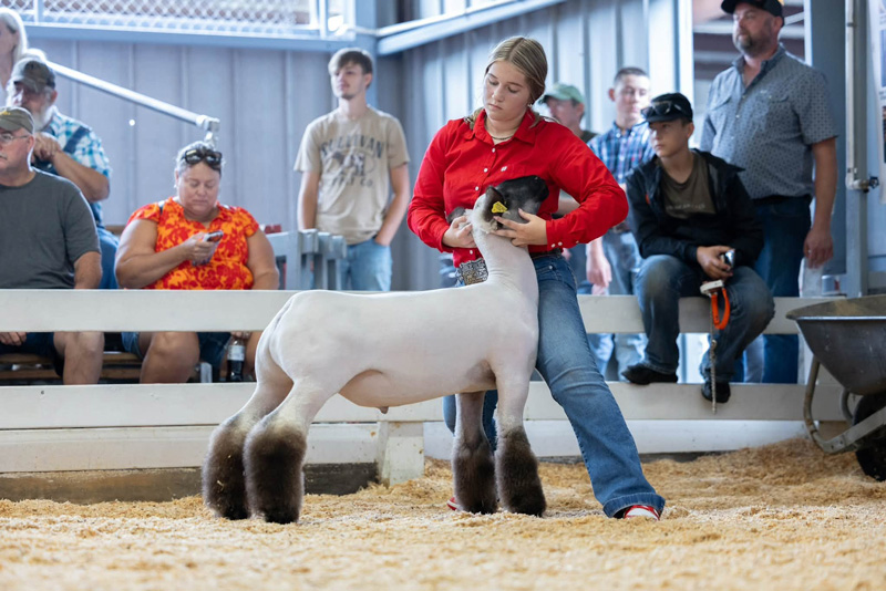 Champion Division 1 State Fair of West Virginia Champion Division 1 State Fair of West Virginia