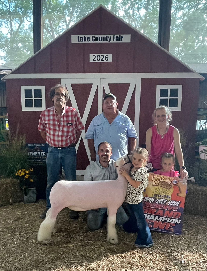 Reserve Grand Champion Ewe – Lake County Open Show