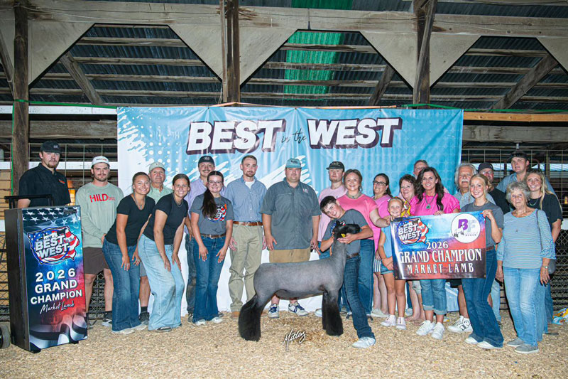 Grand Champion Market Lamb – Best of the West