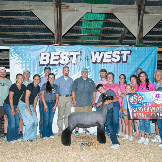 Fourth Overall Market Lamb Show B Fifth Overall Market Lamb Show A Champion WFX Market Lamb Show A&B PNW Livestock Expo (OR)
