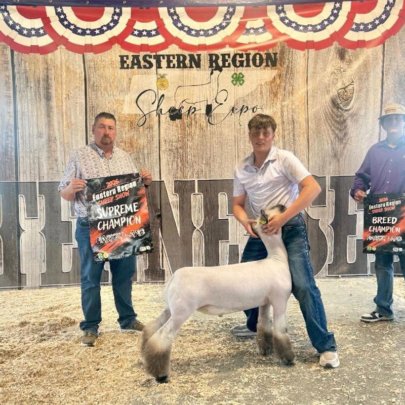 Supreme Champion Market Lamb – Eastern Region Sheep Expo