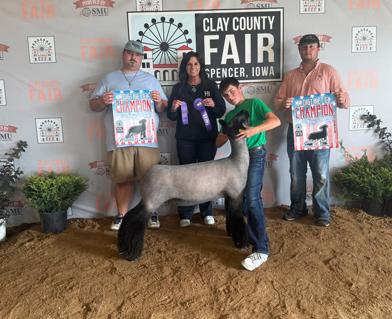 District Champion Market Lamb – Clay County (IA) Fair
