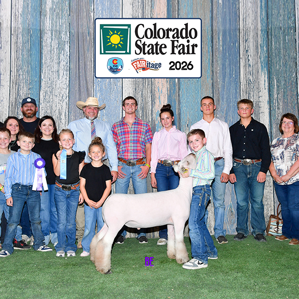Fourth Overall Market Lamb Show B Fifth Overall Market Lamb Show A Champion WFX Market Lamb Show A&B PNW Livestock Expo (OR)