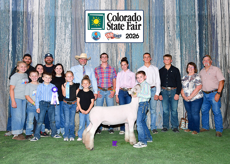 Champion Southdown – Colorado State Fair