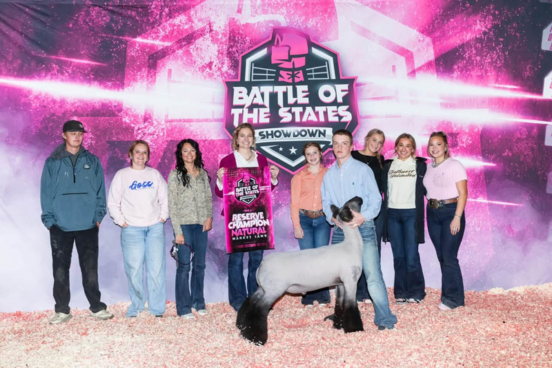 Reserve Natural Market Lamb – Show A – Battle of the States Showdown