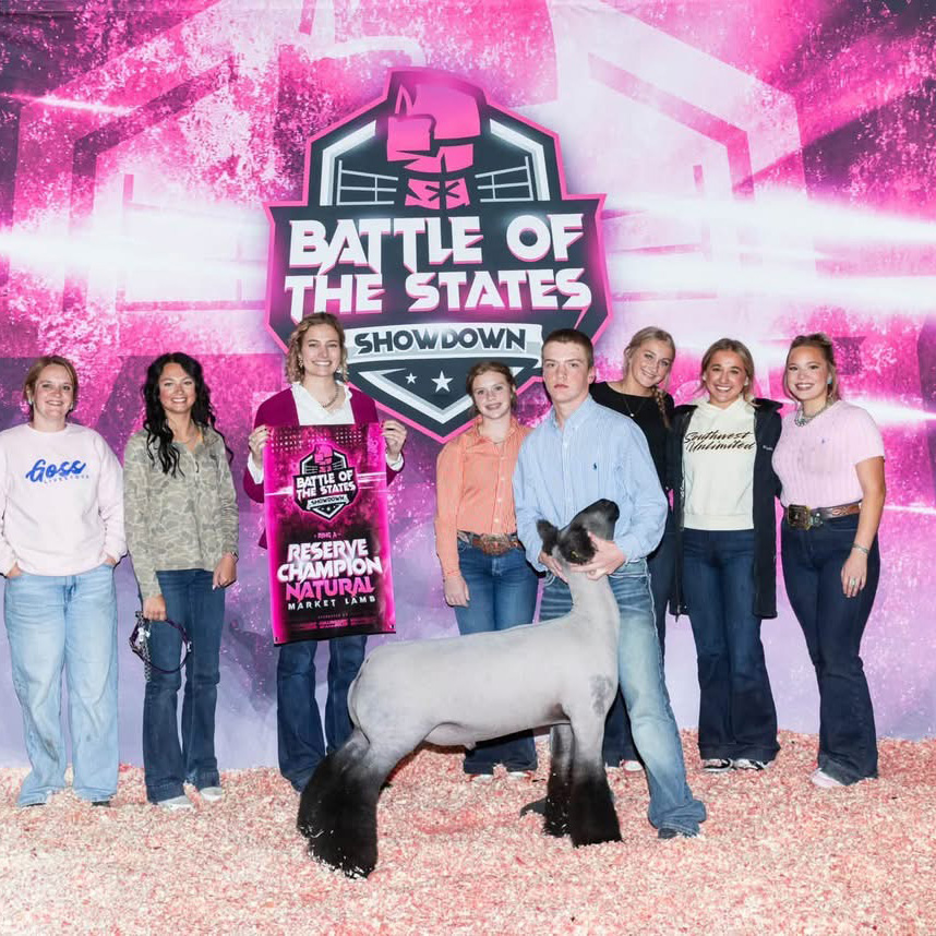 Grand Champion Market TBSS – Boerne Day 1