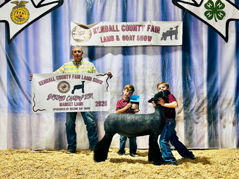 Grand Champion Market Lamb – Kendall County Fair
