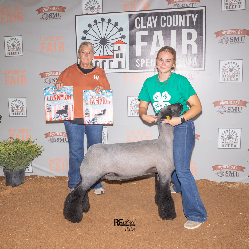 Grand Champion Market TBSS – Boerne Day 1