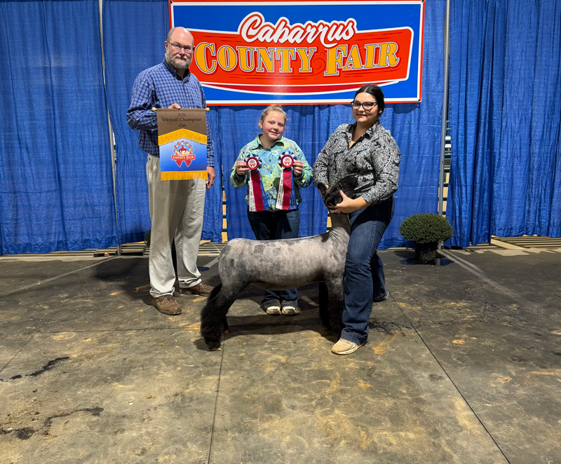 Supreme Champion Ewe – Cabarrus County Fair