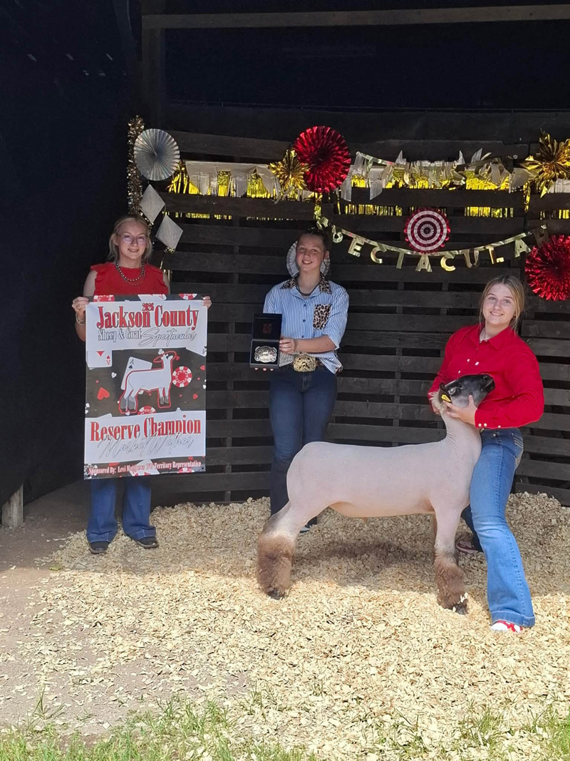 Reserve Champion Market Sheep – Jackson County Sheep & Goat Spectacular