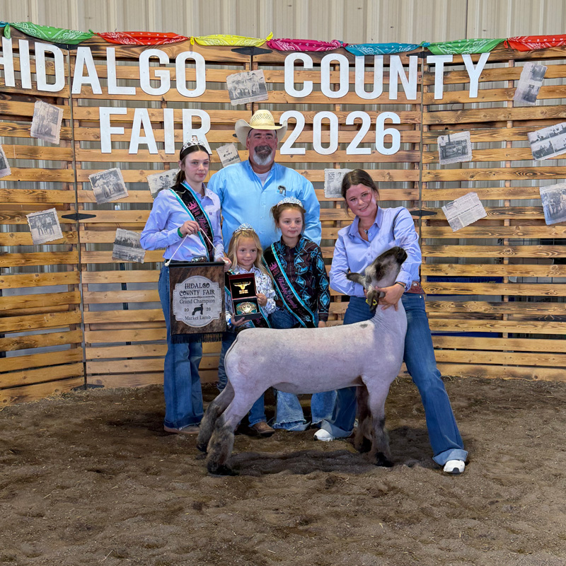 Grand Champion Market Lamb – Hidalgo County Fair