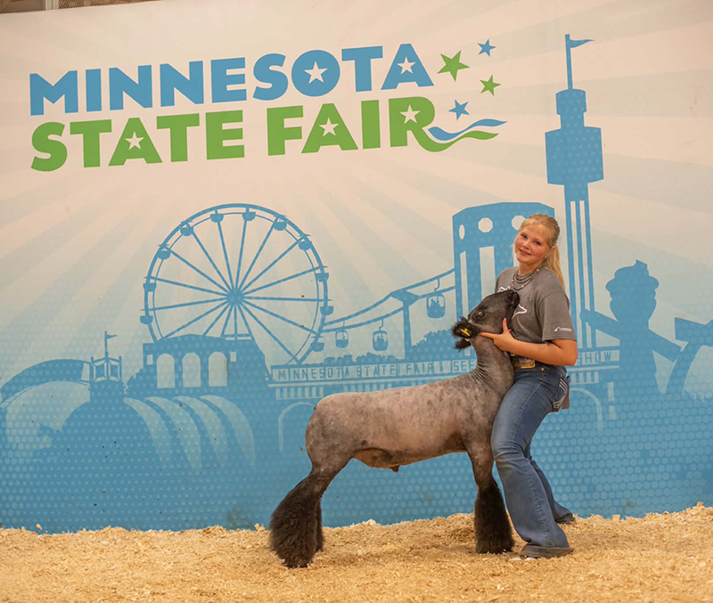 5th Overall Heavyweight, Auction Qualifier – Minnesota State Fair