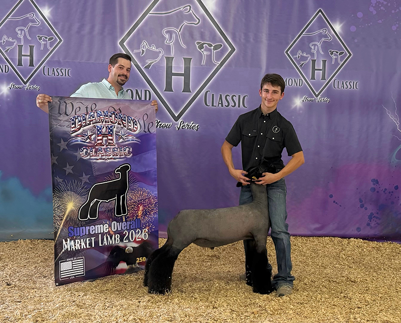 Supreme Overall Market Lamb – Diamond H Classic