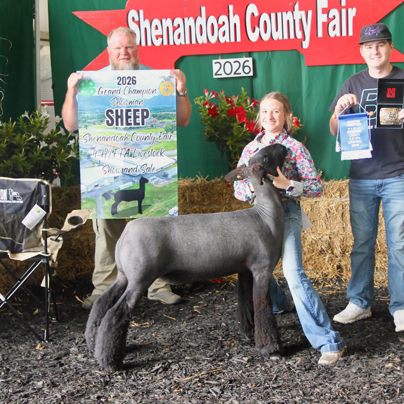 Grand Champion Breeding Ewe Calhoun County Expo