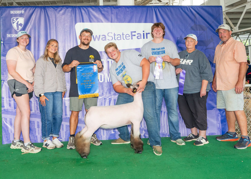 3rd Overall Market Ewe – Iowa State Fair 4-H Ewe Show