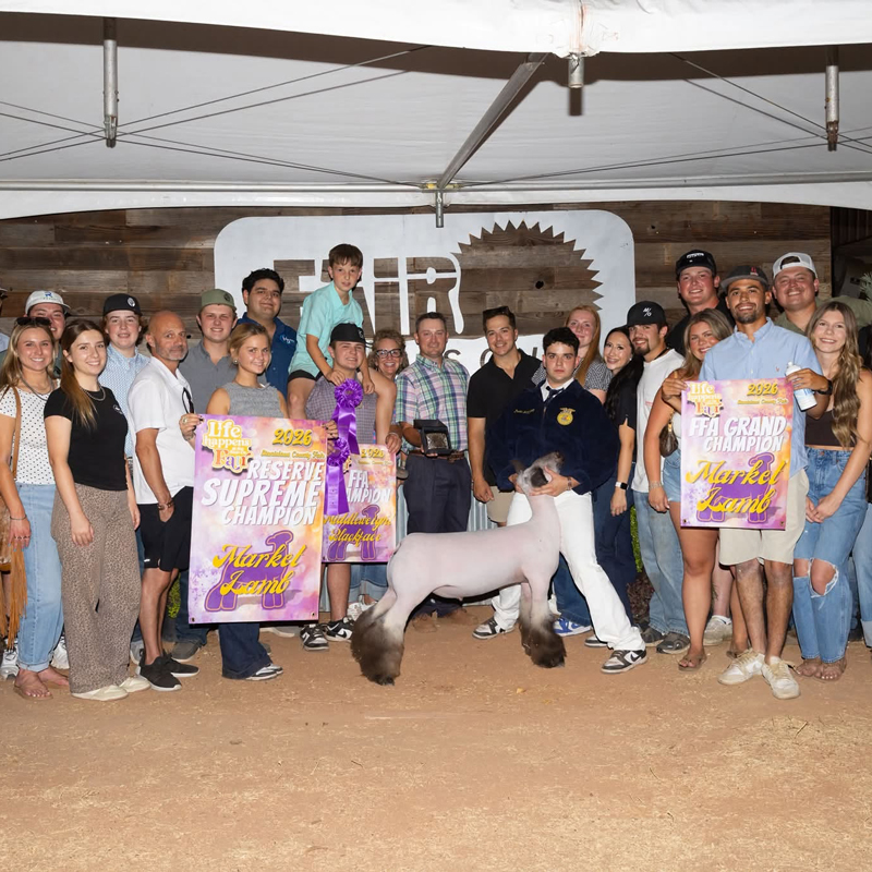 Grand Champion Breeding Ewe Calhoun County Expo