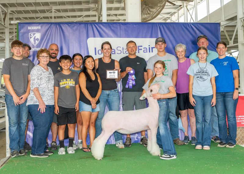 Champion WFX – Iowa State Fair 4-H Ewe Show