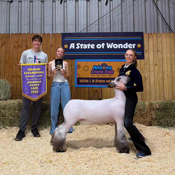 Grand Champion Market TBSS – Boerne Day 1